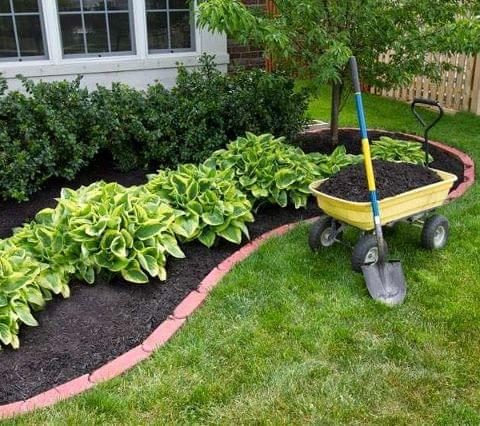 Renueva tu jardín con poco presupuesto