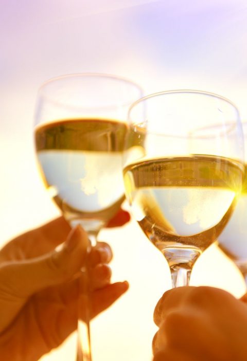 Vinos para principiantes en menos de 200 pesos