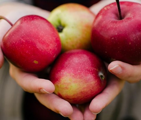 "manzanas "