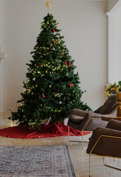 Navidad: Los mejores árboles para esta temporada navideña