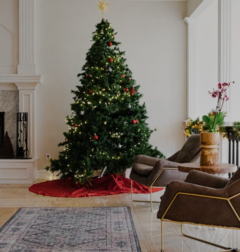 Navidad: Los mejores árboles para esta temporada navideña