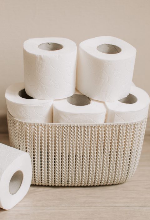 Los mejores rollos de papel higiénico en 2022