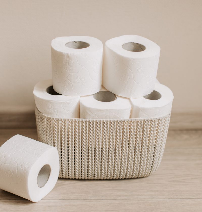Los mejores rollos de papel higiénico en 2022