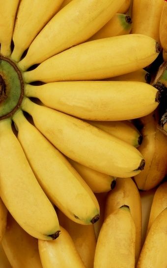 platanos