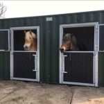 Los contenedores pueden ser un buen refugio para caballos