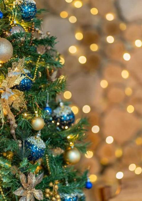 arboles de navidad