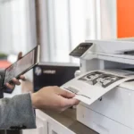 ¿Cómo elegir árboles artificiales de calidad?