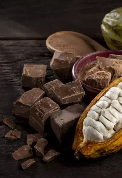 chocolate - cacao